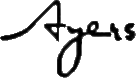 Click here for the official Ayers Guitars website