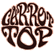 Click here for the official Carrot Top website