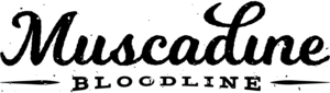 Click here for the official Muscadine Bloodline website