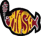 Click here for the official Phish website