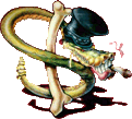 Click here for the official Slash's Snakepit website