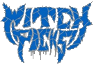 Click here for the official Witch Custom Picks website